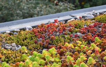 the cost of North Shields green roof installation