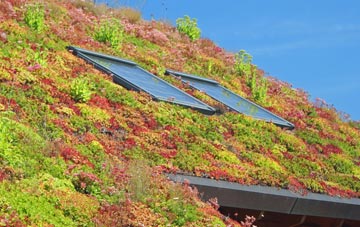 North Shields living roof systems