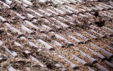 North Shields roof cleaning companies